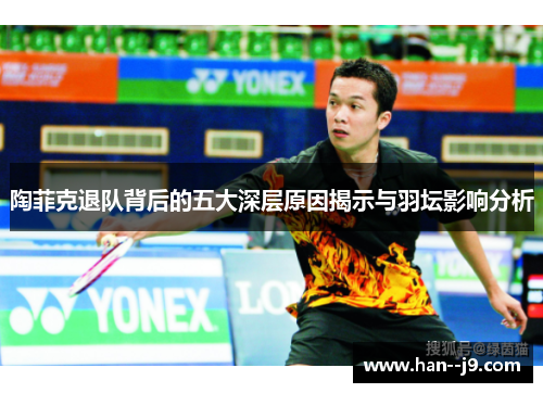 陶菲克退队背后的五大深层原因揭示与羽坛影响分析